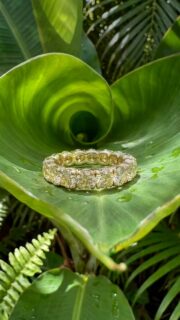 Exquisito anillo engastado con diamantes fancy talla brillante. Una joya que celebra el amor eterno con un toque de color y sofisticación. El brillo excepcional de los diamantes realza la calidez del oro, creando una pieza deslumbrante y atemporal.
--------------------------------
Exquisite ring set with fancy brilliant-cut diamonds. A jewel that celebrates eternal love with a touch of color and sophistication. The exceptional brilliance of the diamonds enhances the warmth of the gold, creating a dazzling and timeless piece.
#AmayaJoyeros #altajoyería #joyasalicante #joyas #jewelrydesigner