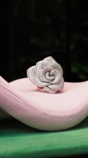 Esta temporada, la Colección Rosina de Pasquale Bruni presenta una joya de armonía y luz. El anillo Rosina de Alta Joyería transforma la rosa, una protagonista vibrante, en un precioso mandala, un himno a la creación y al equilibrio entre la tierra y el cielo, con pétalos que se funden en un pavé de diamantes que irradian con cada movimiento.
-----------------------------
This season, The Rosina Collection by Pasquale Bruni unveils a jewel of harmony and light. The Rosina High Jewellery ring transforms the rose, a vibrant protagonist, into a precious mandala, a hymn to creation and the balance between earth and sky, with petals dissolving into a pavé of diamonds that radiate with every movement.

#PasqualeBruni #RosinaPB #HighJewellery #AmayaJoyeros #joyasalicante